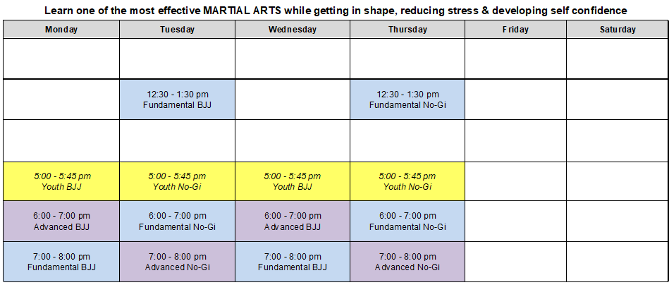 Silver Fox Brazilian Jiu Jitsu Academy Schedule